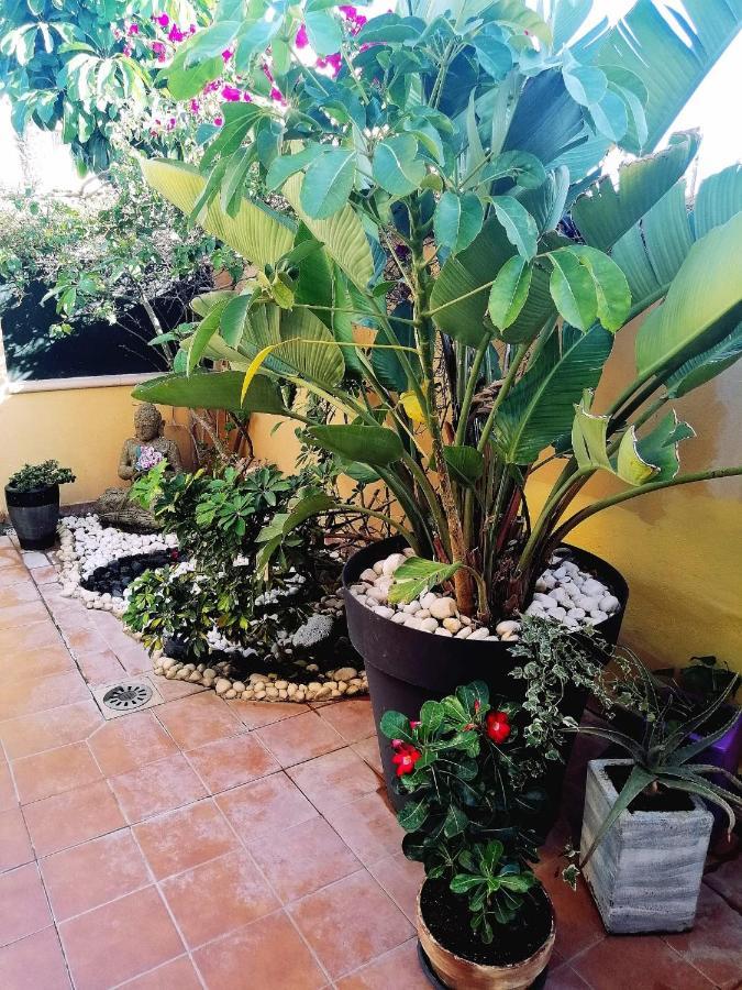 Las Rosas  Vivienda Vacacional Vaiana מראה חיצוני תמונה